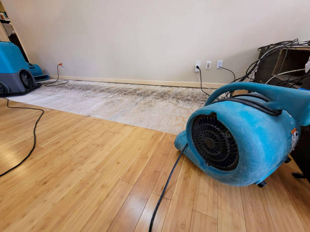Professional Flood Damage Cleanup technician working in Birmingham, MI